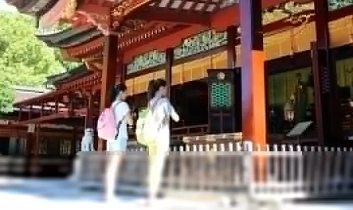 Port Pick-Up: Hakata Private Tour Licensed Guide& Vehicle