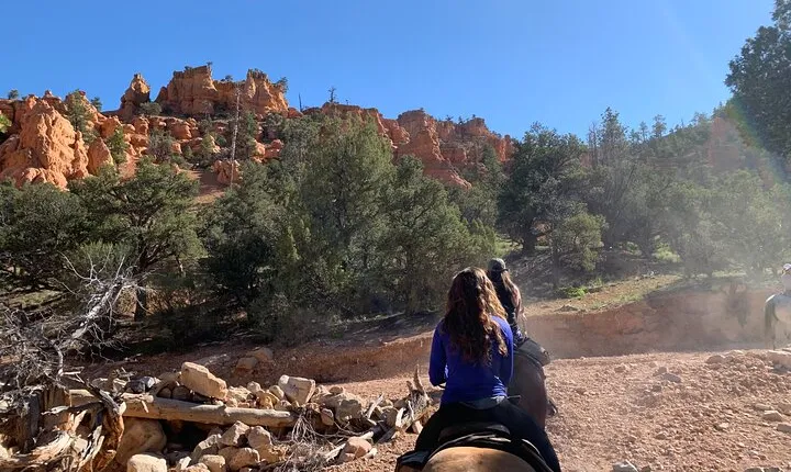 Ruby's Horseback Adventures Utah Half Day Ride
