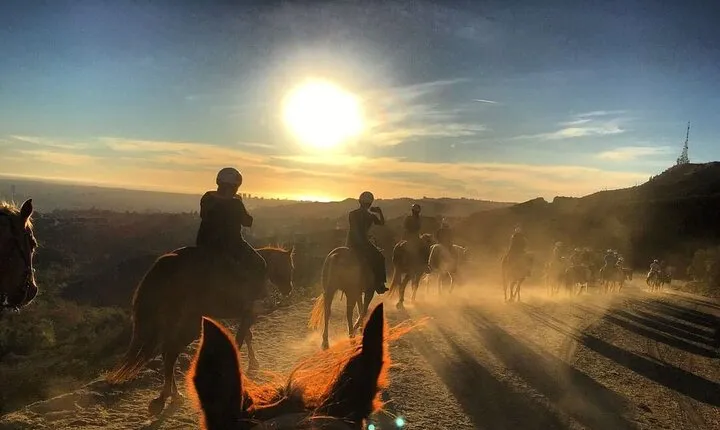 Mt. Hollywood Trail Tour on Horseback