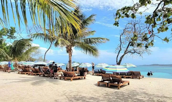 Roatan Monkey and sloths, Reef Snorkel & Private Cay Beach Break 