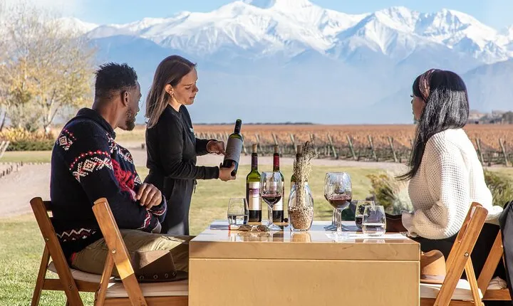 Lujan Deluxe - Full day - Premium Wine Tour with Gourmet Lunch