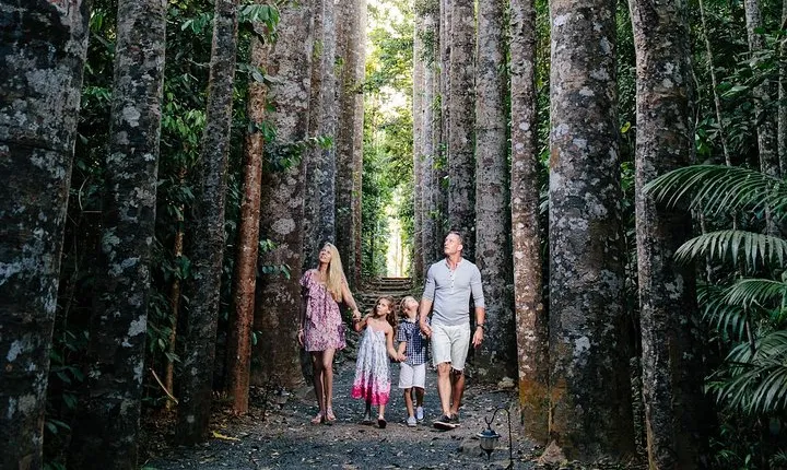 Day Tour to Paronella Park, Lake Barrine and Millaa Millaa Falls