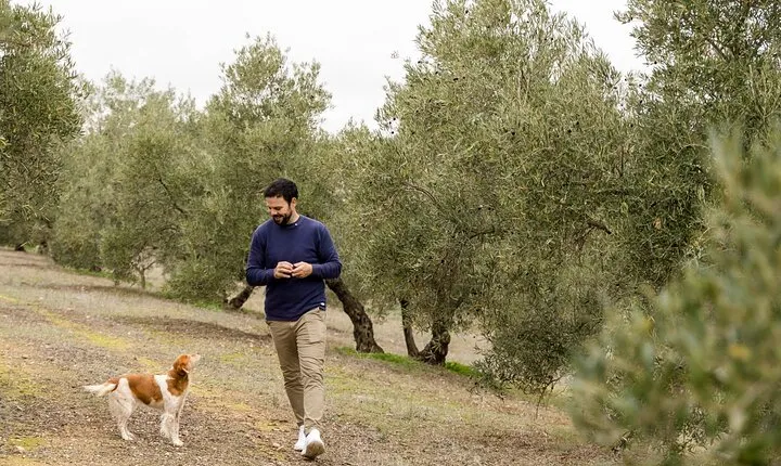 OLIVE OIL & WINE TOUR - Organic Fields 5 Wines + 3 Olive Oils