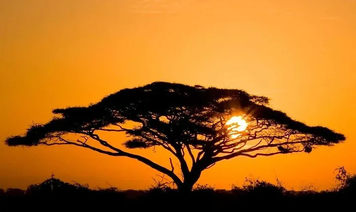 3 Days Amboseli National Park Guided safari from Nairobi