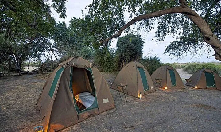 Chobe National Park Camping Safari From Victoria Falls (2 Days and 1 Night)