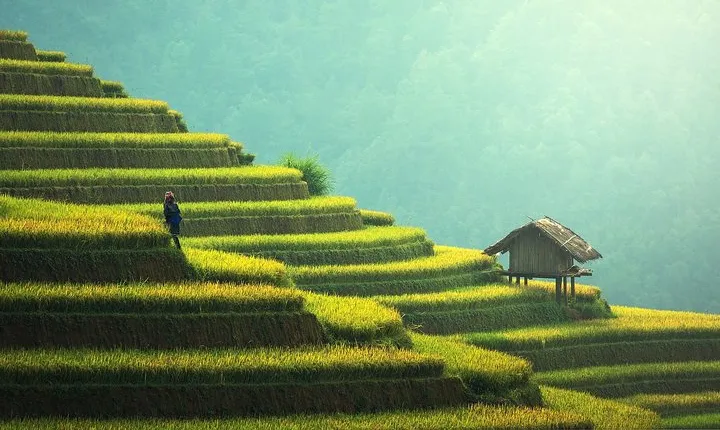 Private Guided Romantic Walking Tour of Bali