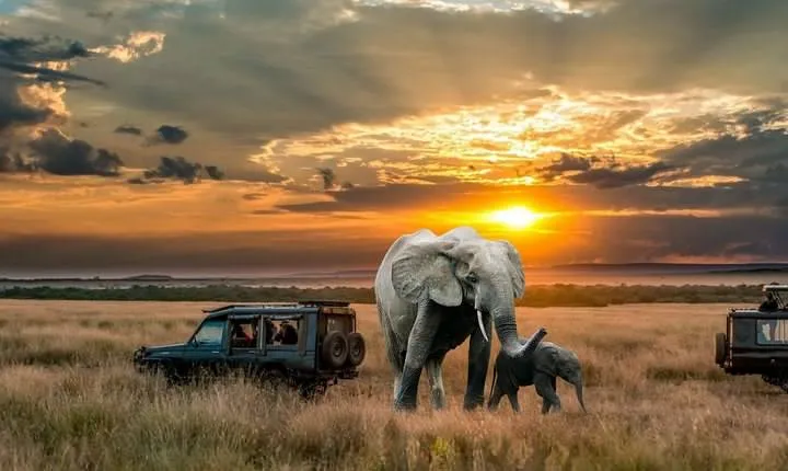 2 Days Northern Circuit Safari (lake Manyara & Ngorongoro)