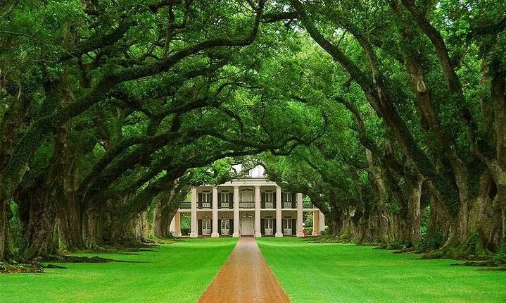 Oak Alley Plantation Half-Day Tour from New Orleans