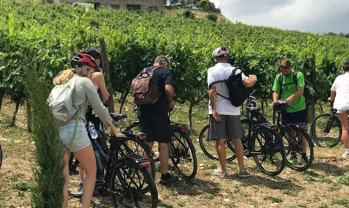 Chianti Bike Tour from Florence