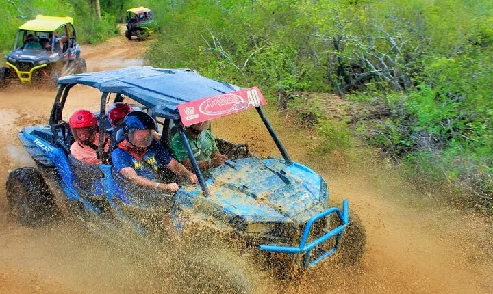 Half-day Wild Desert Polaris Razor UTV Tour