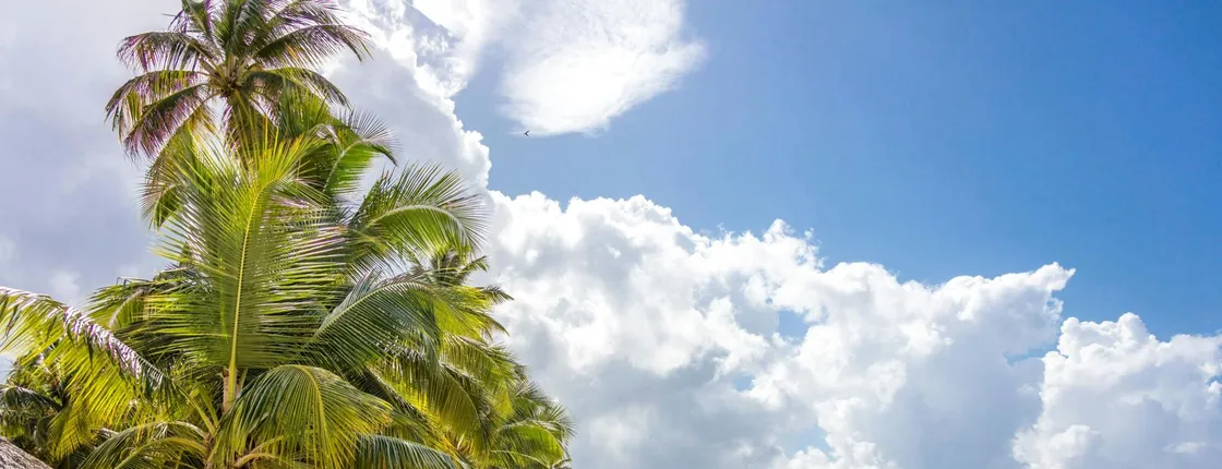 Saona Island highlights boat tour with buffet lunch