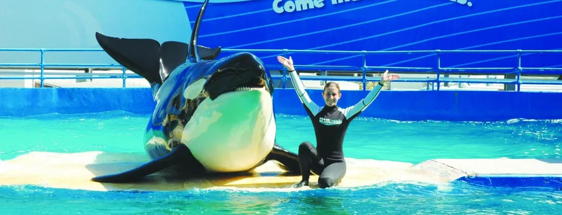 Miami Seaquarium admission tickets