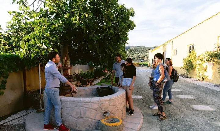 Family Winery Tour and Tasting in Trizinia