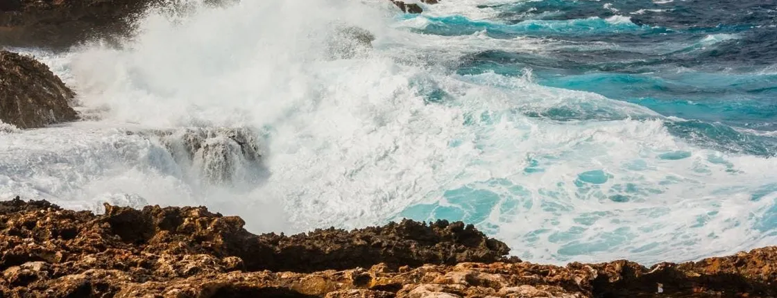 Guided tour to Washington-Slagbaai national park