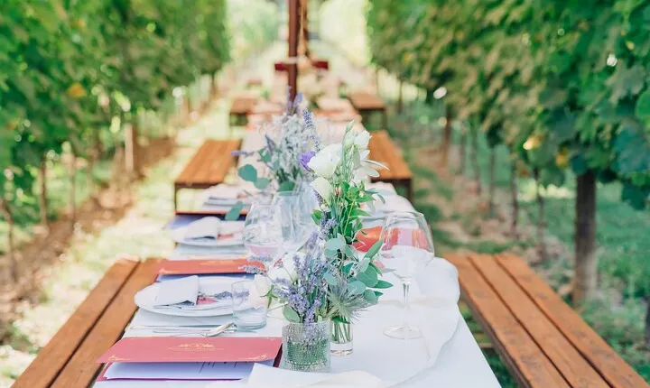 San Gimignano Romantic Dinner in the Vineyards