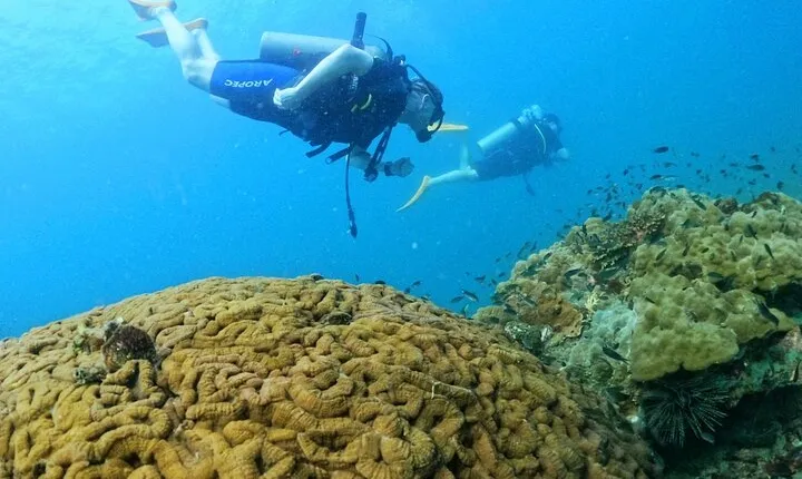 [GROUP] SCUBA DIVING for Certified Divers in Phu Quoc Island