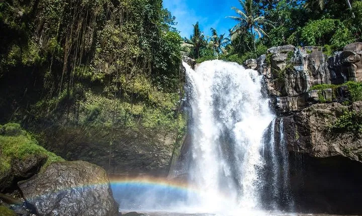 Best Waterfall & Kintamani Tour