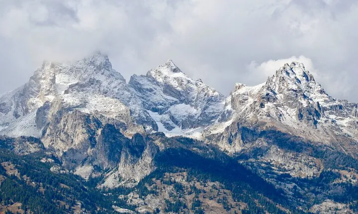 Grand Teton Half Day Tour