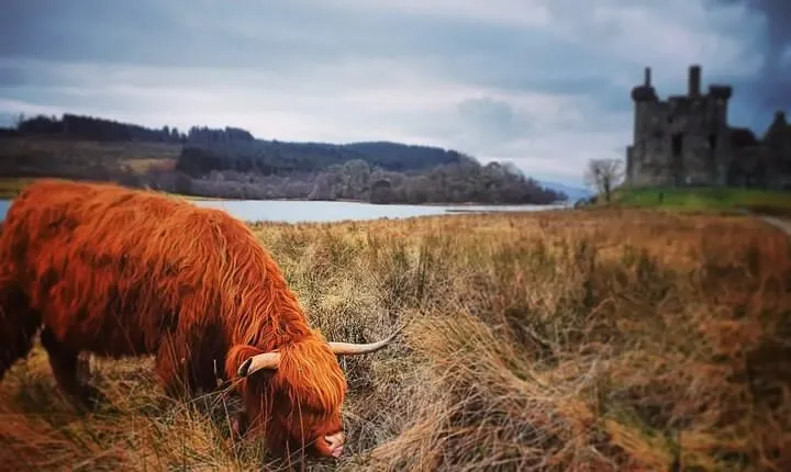 Full Day Private Tour in West Highlands, Oban and Glencoe