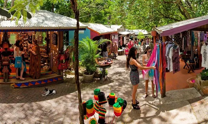 Adventure on a Budget Visit Kuranda or Palm Cove from Pt Douglas
