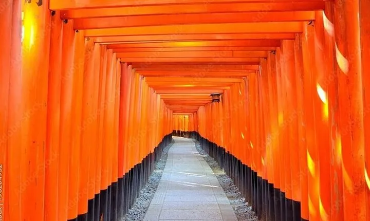 Kyoto, Osaka, Nara Full Day tour by Car English speaking Driver