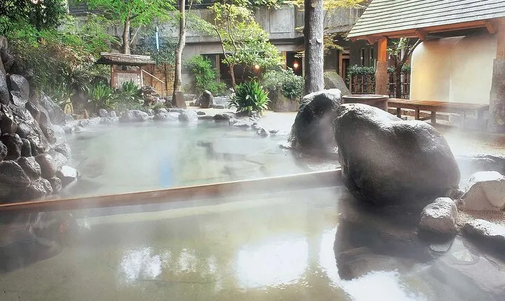 Hakone Private Tour with Onsen & Lake Ashi Cruise from Tokyo