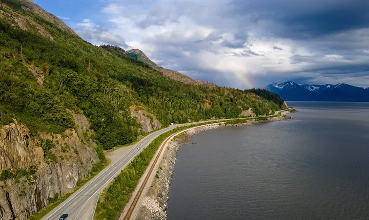 Seward to Anchorage- Post Cruise Curated Wildlife Tour +Transfer