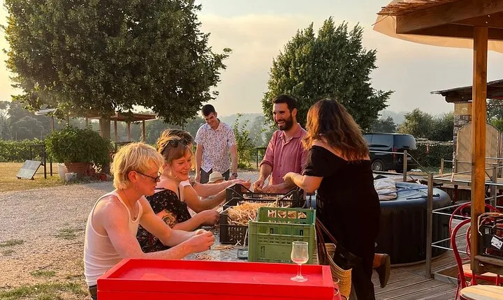 Tuscan Wine Tour in Pisa by shuttle
