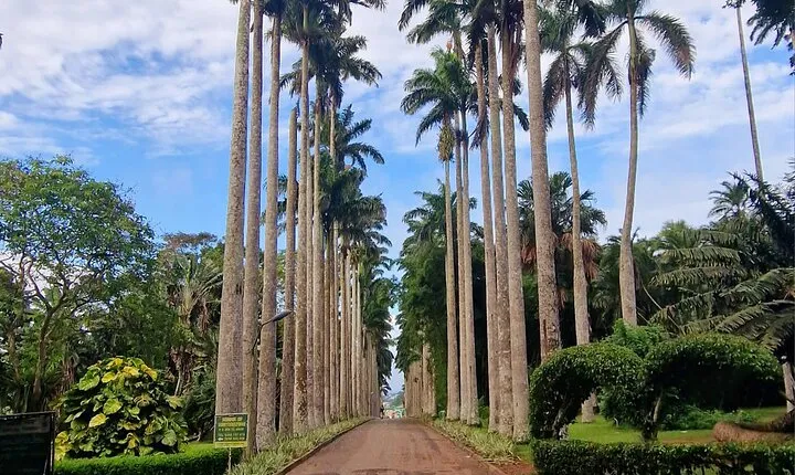 Aburi Botanic Gardens, Boti Falls,Umbrella Rock & Cocoa Farm Tour