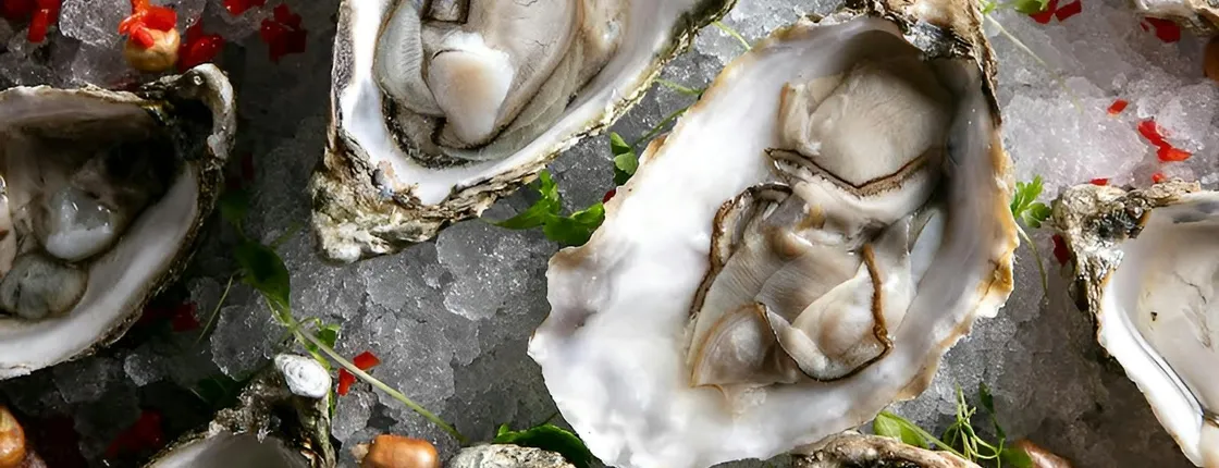 Oyster Happy Hour with Bubbles and Live Music in London