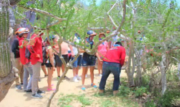 Candelaria Village Desert & Beach ATV tour