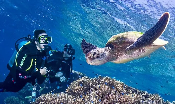 Marsa Mubarak Snorkeling & Diving , Lunch , Transfers - El Quseir