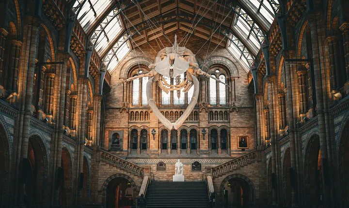 Natural History Museum Walking Guided Tour of London
