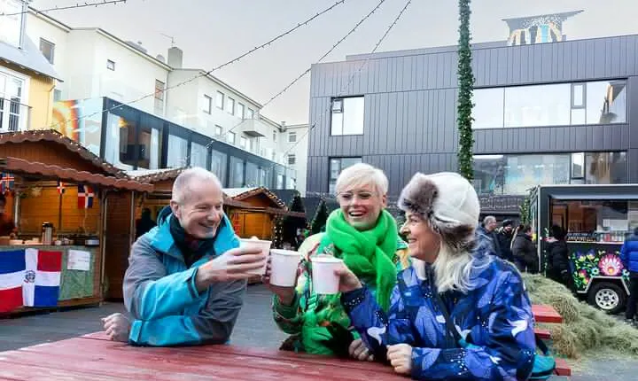 3-Hour Shared Christmas Food Tour with Guide in Reykjavik 