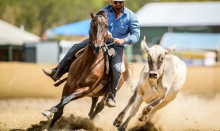  Horse Riding Adventure in the Outback