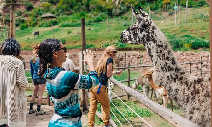 2-Day Private Tour of the Sacred Valley and Machu Picchu