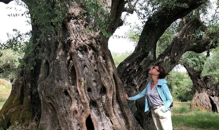 Relax Day: Thermal Lake, Olive Oil Tasting & Poseidon Temple Tour