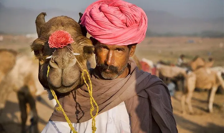 Private One Way Transfer From Pushkar To Jaipur In AC Vehicle