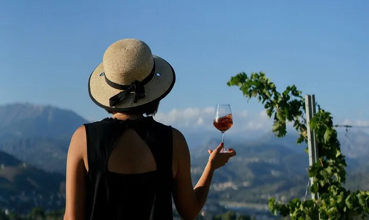 Vineyard Tour with Wine Tasting within Nice city borders