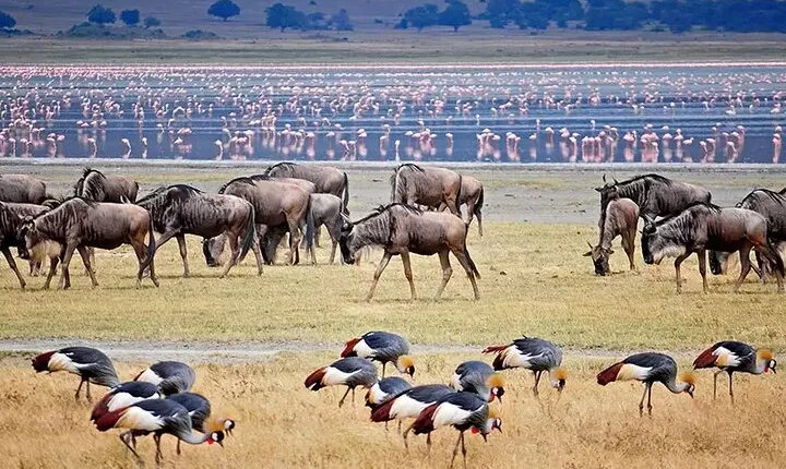 2 Days Tarangire and Ngorongoro Crater