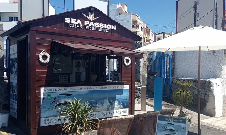 Whale watching and snorkelling in the whale sanctuary