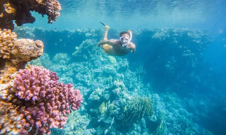 Coral Garden Snorkeling Trip with Lunch & Transfer – Marsa Alam