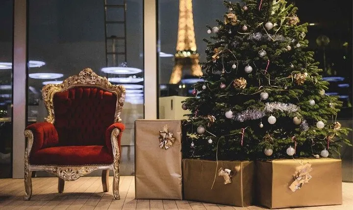 Christmas Lunch Cruise in Paris