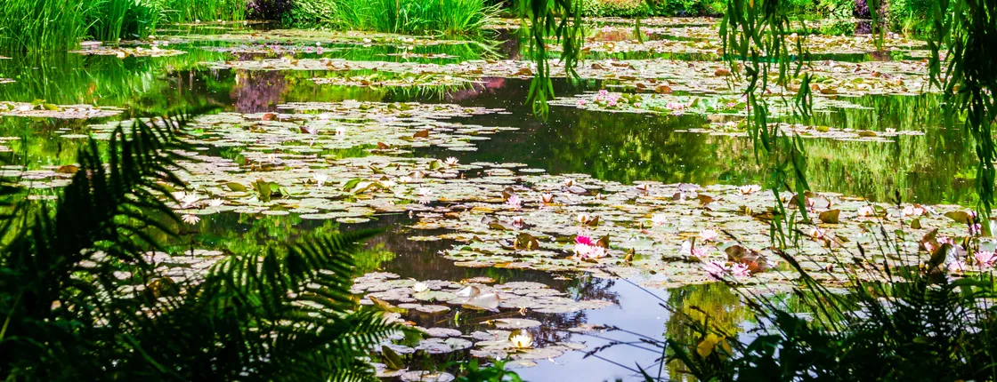 Visit Monet’s Giverny and Versailles in one day