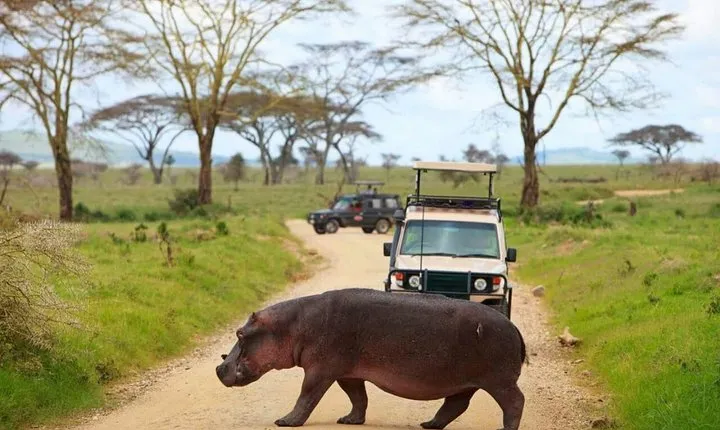 The Admirable Mikumi National Park - 2 Days
