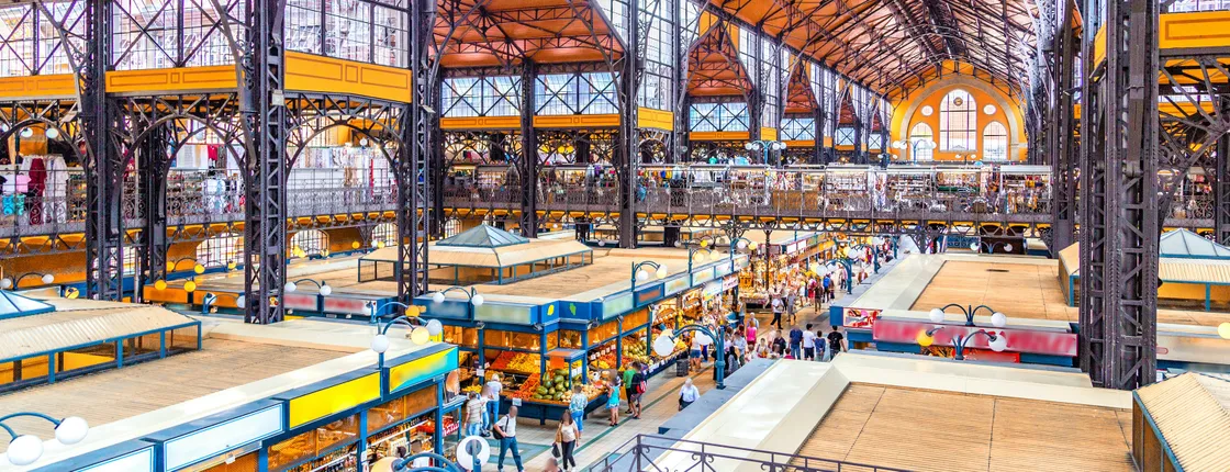 Budapest Private City Tour with Culinary Walk in the Central Market Hall