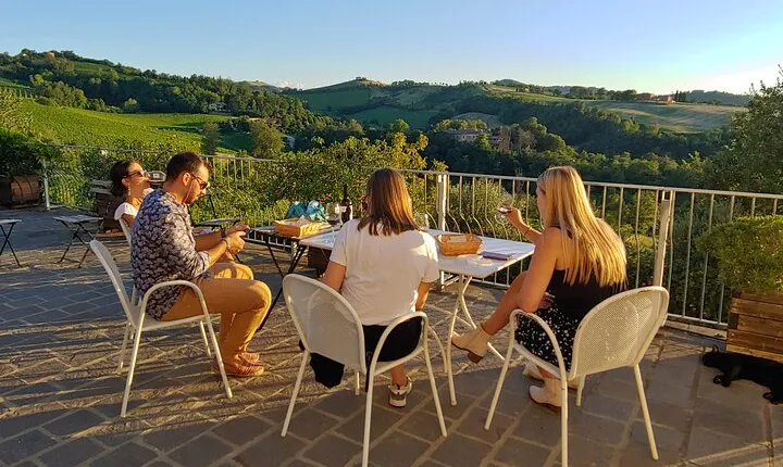 From Bologna: Wine Tasting and Vineyard Tour with the winemaker