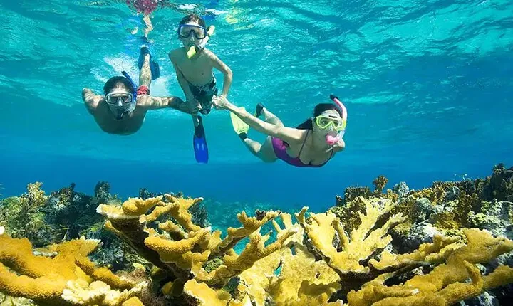 Full Day Boat Tour to Hamata Island in Marsa Alam