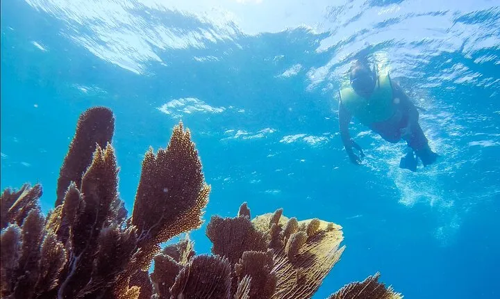 Snorkel Key Largo on our COMBO Boat with Snorkeling Gear INCLUDED