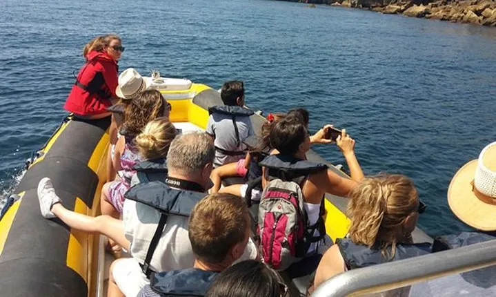 Boat Tour in Peniche